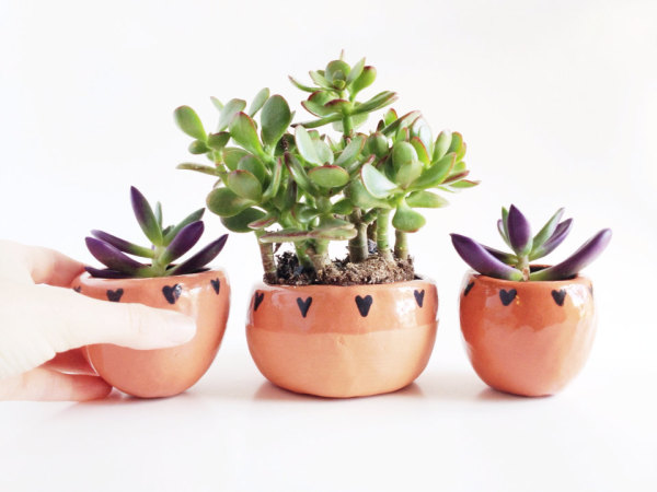 Handmade Ceramics at Pop Shop America online shopping website | Terrarium Planters | Succulent Planters | Indoor Pots for Plants