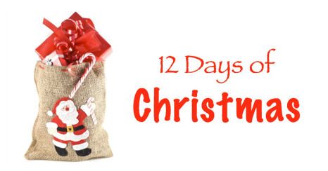 12 days of Christmas Blog Link