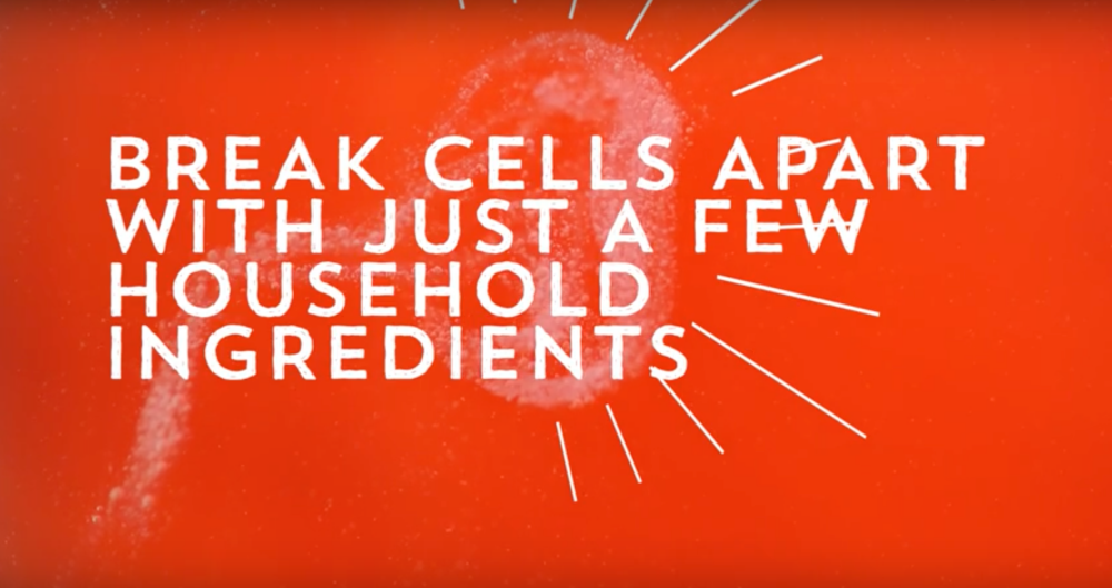 break cells apart with just a few household ingredients