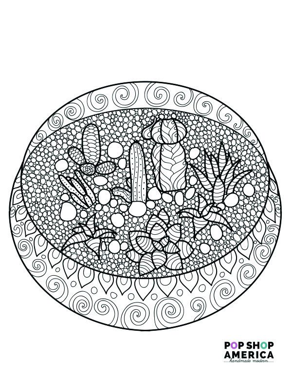 Succulent Terrarium Adult Coloring Page Free Printable Small Image