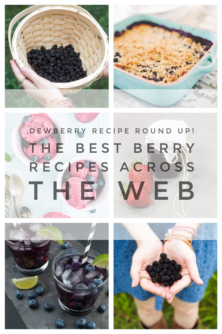 dewberry recipe round up the best berry recipes from pop shop america blog