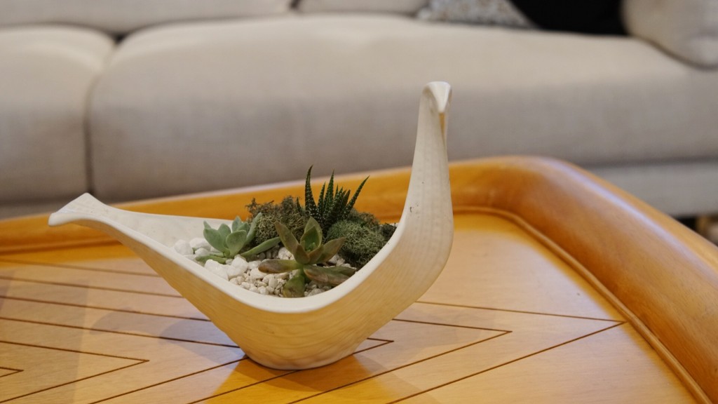 where to place your succulent terrarium with jonathan adler bird bowl