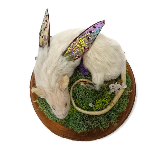 Kristin Jarvis Rat Fairy Taxidermy Art