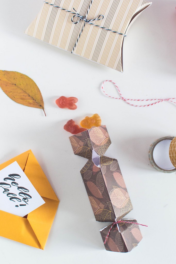 Foldable Autumn DIY Packaging Gift packaging Ideas
