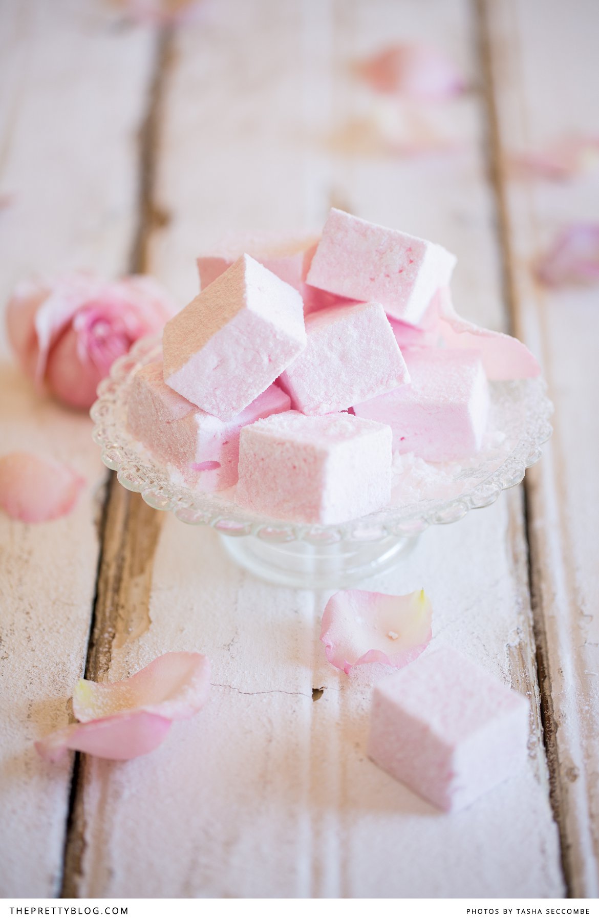 rosewater marshmallow recipes pop shop america