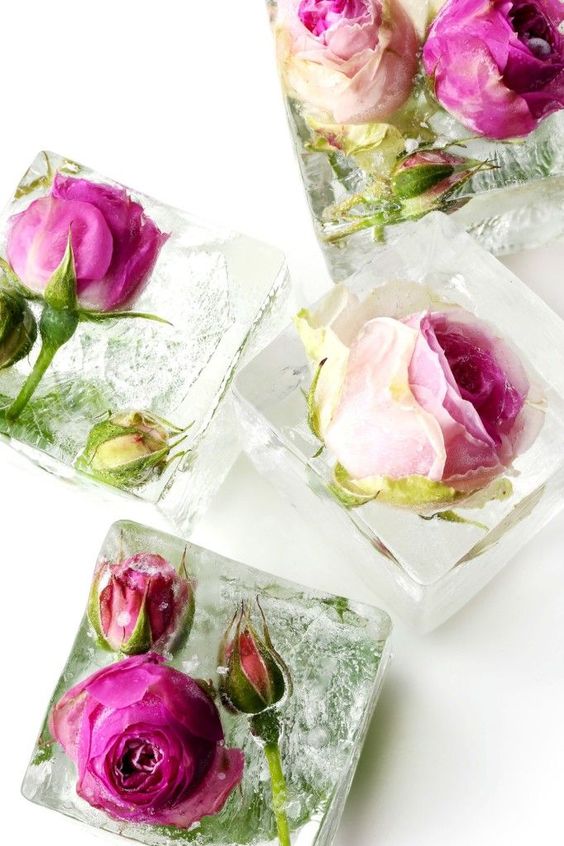 floral ice cubes easy diy pop shop america