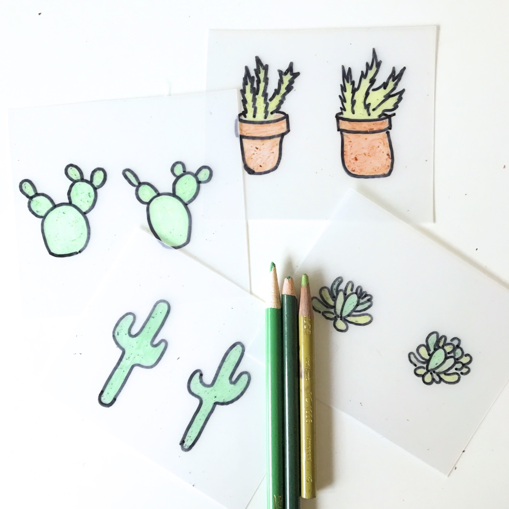 drawings of cactus for cactus earrings succulent earrings