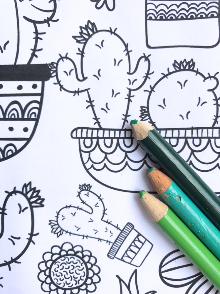 detail of free cactus and succulent adult coloring page printables