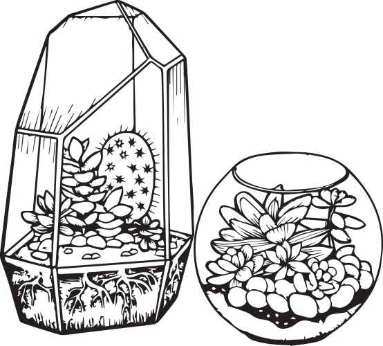 terrarium-coloring-page-1-small-for-web