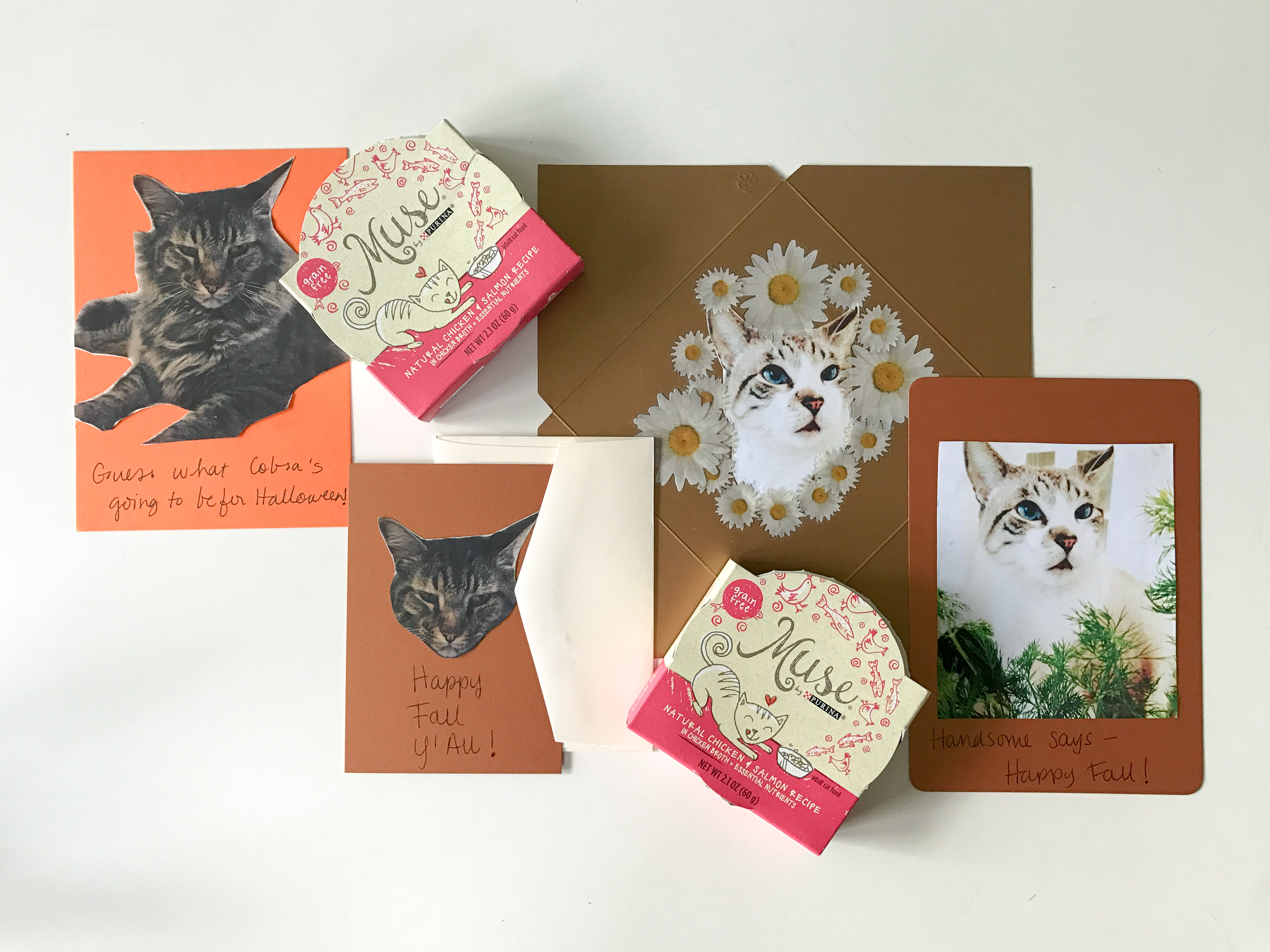 #shop make these diy fall cards with your cats