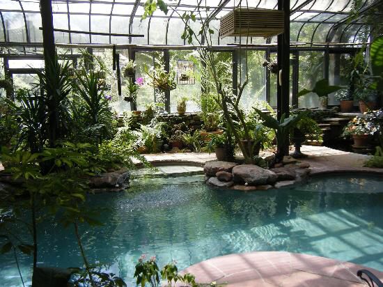 indoor pool with atrium best greenhouses best conservatories