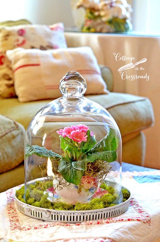 Spring-under-glass-teacup-planter