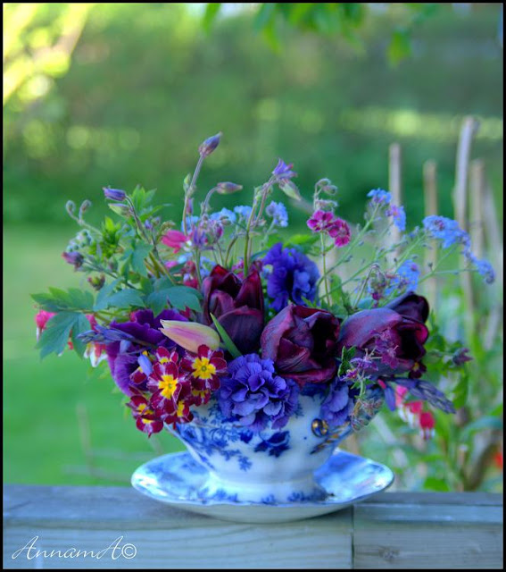 fresh blooms in a tea cup garden ideas pop shop america