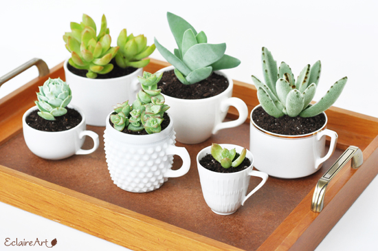 small-succulent-garden-teacups-craft