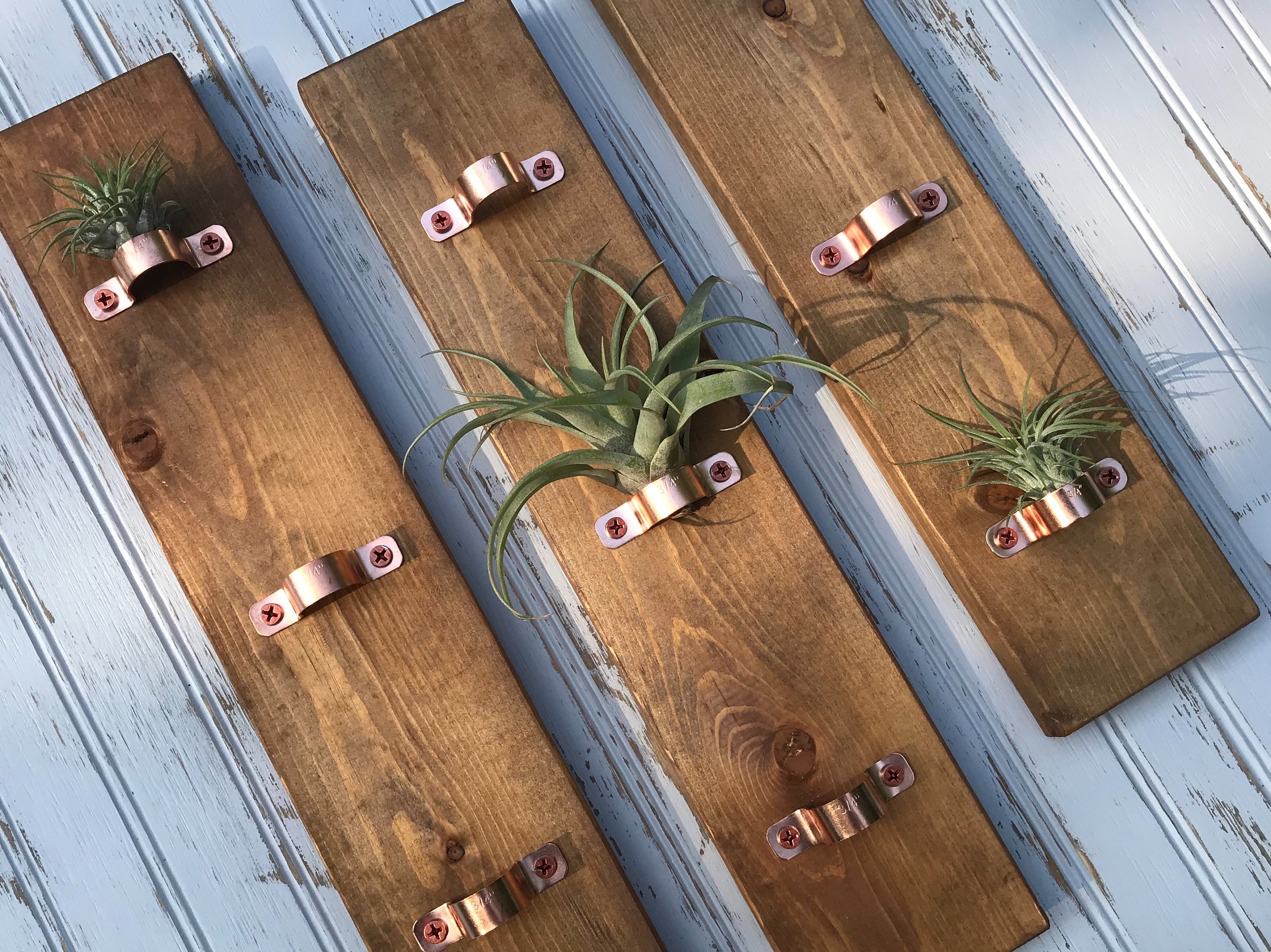 wood and copper wall mounted air plant hanger