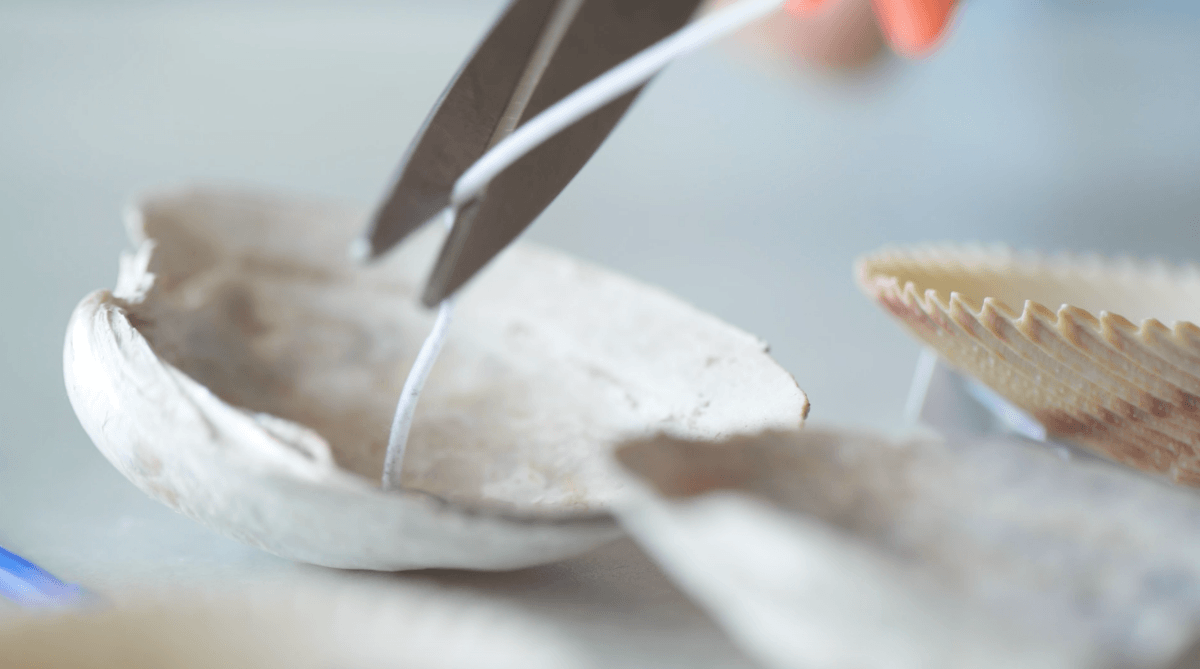 cut the wick short to make seashell candles diy
