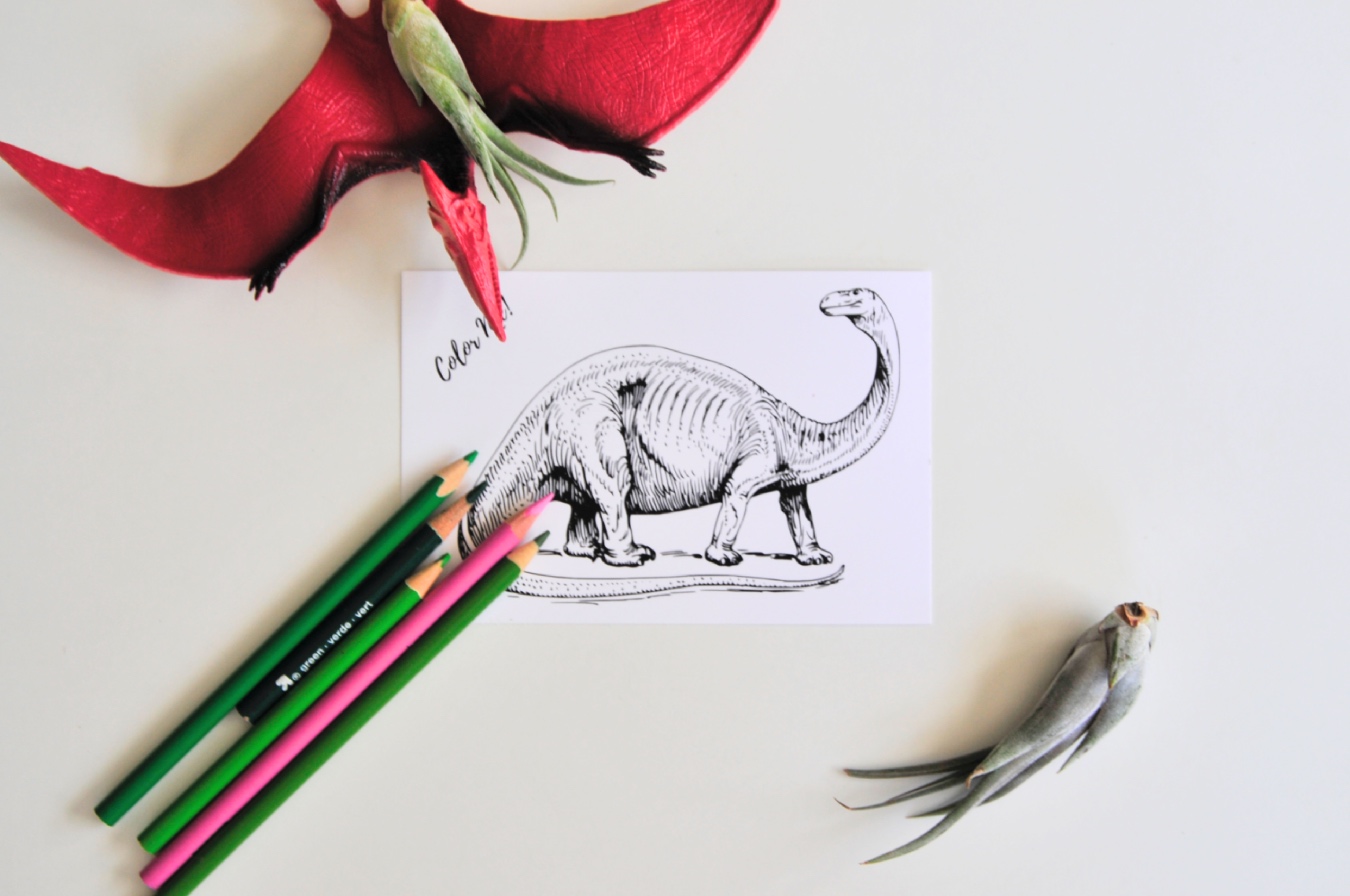 dinosaur adult coloring postcard pop shop america