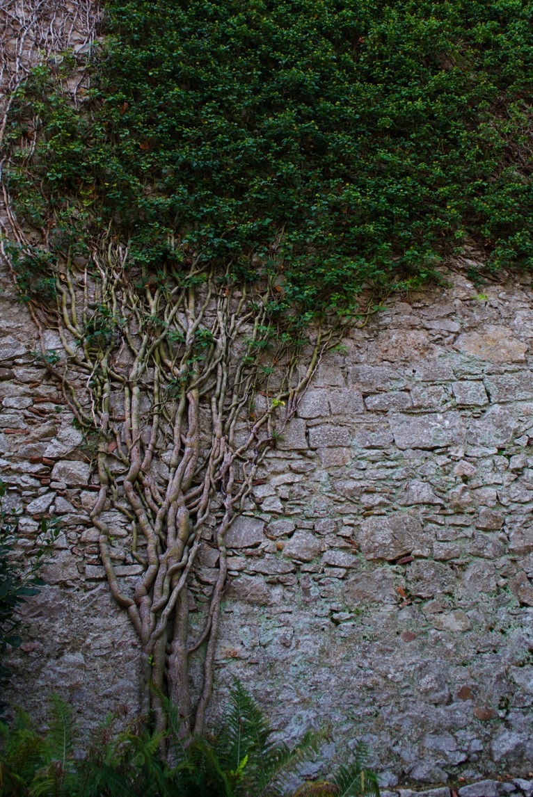 walls of girona catalonia spain travel guide