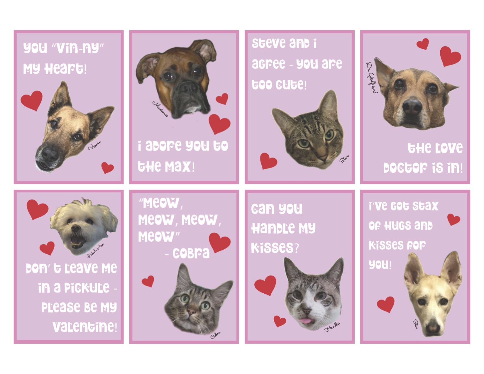 Valentine Cards Printable with Animals by Pop Shop America