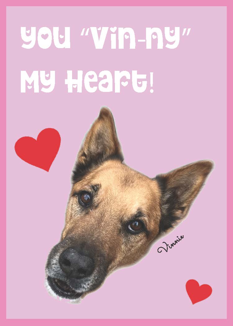 vincent the dog animal valentines cards printable pop shop america