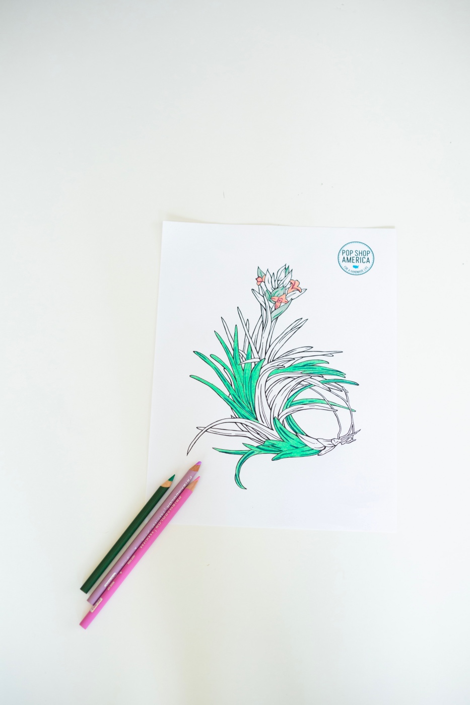 free air plant adult coloring book sheet pop shop america