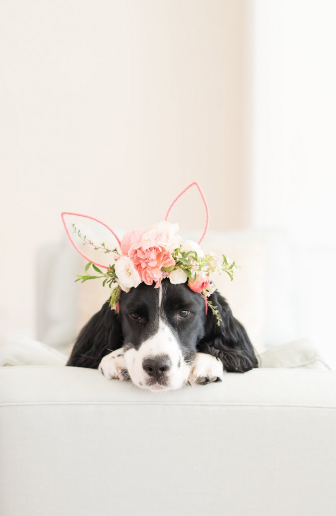 lavin label diy floral bunny ears flower crown