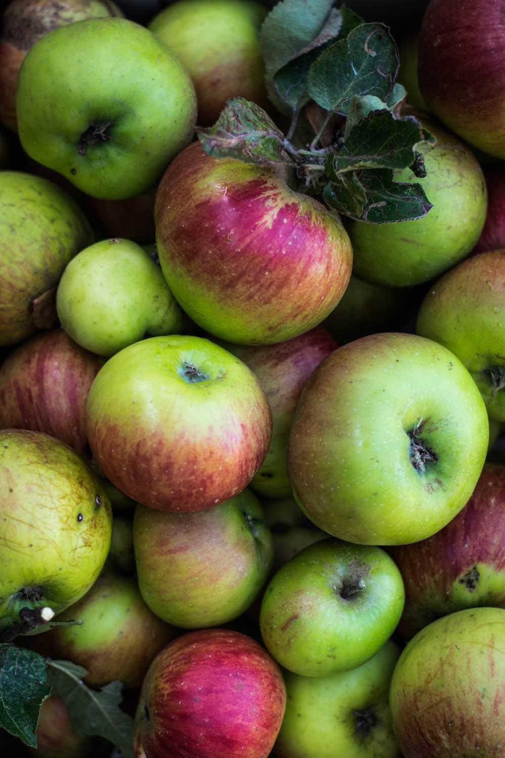 apples to make easy preserved spiced apples recipe pop shop america