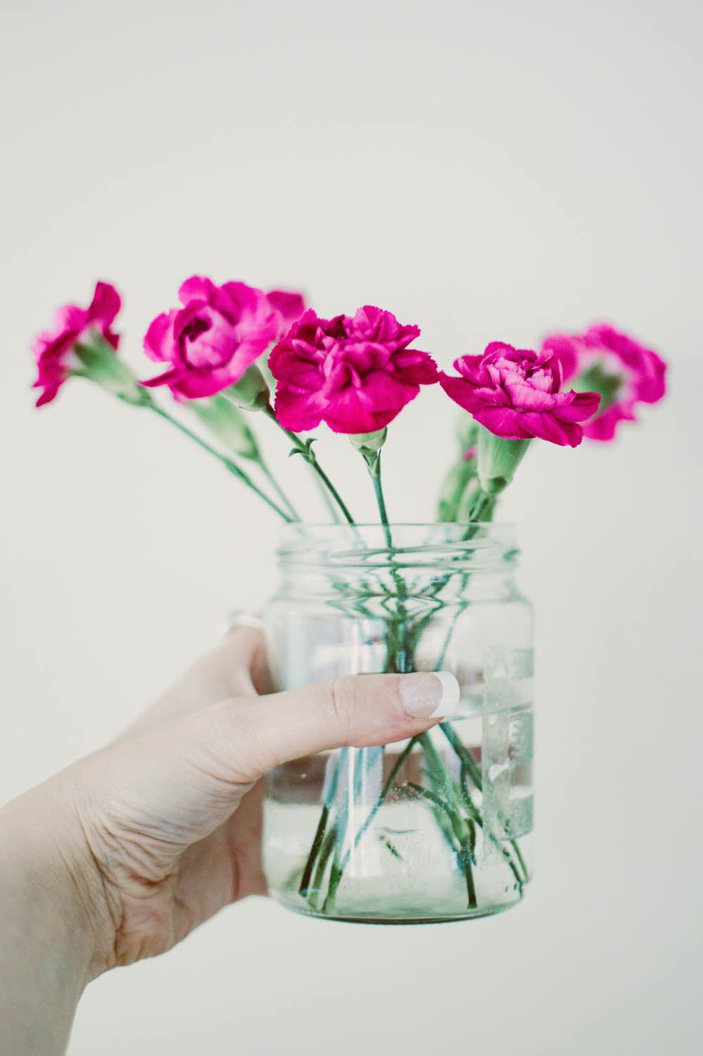 pink carnations in a simple glass jar pop shop america