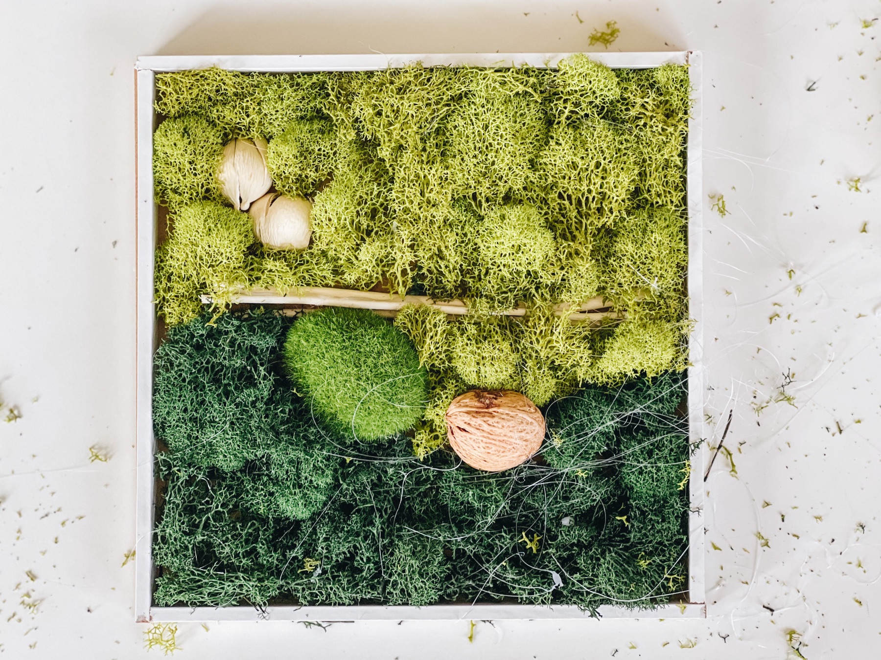 diy preserved moss wall art tutorial filled in