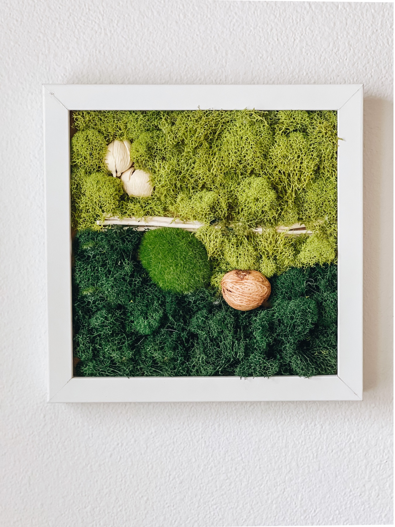 finished moss wall art for interiors diy