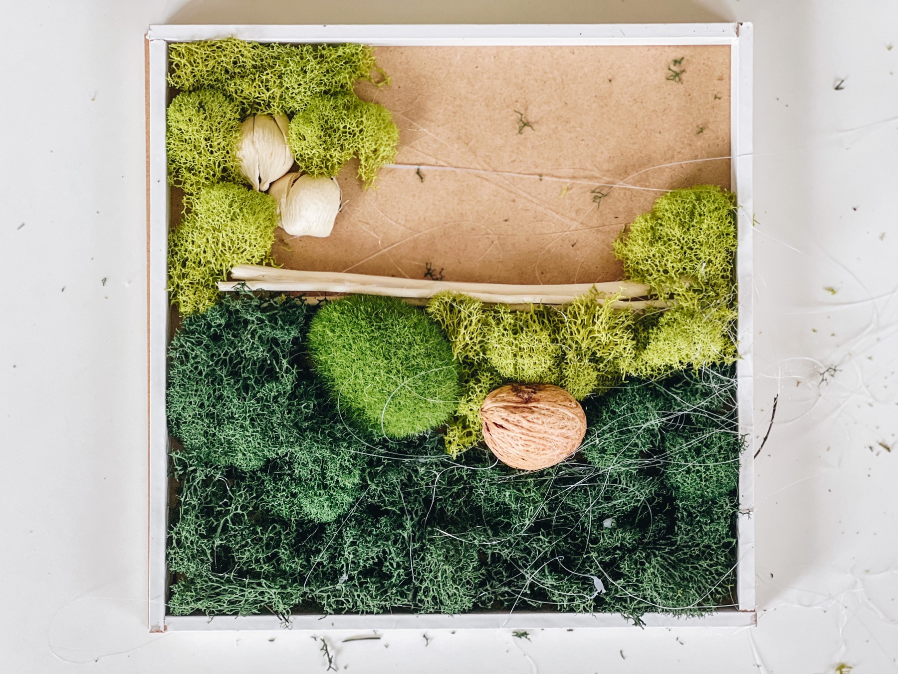 preserved moss wall art diy tutorial