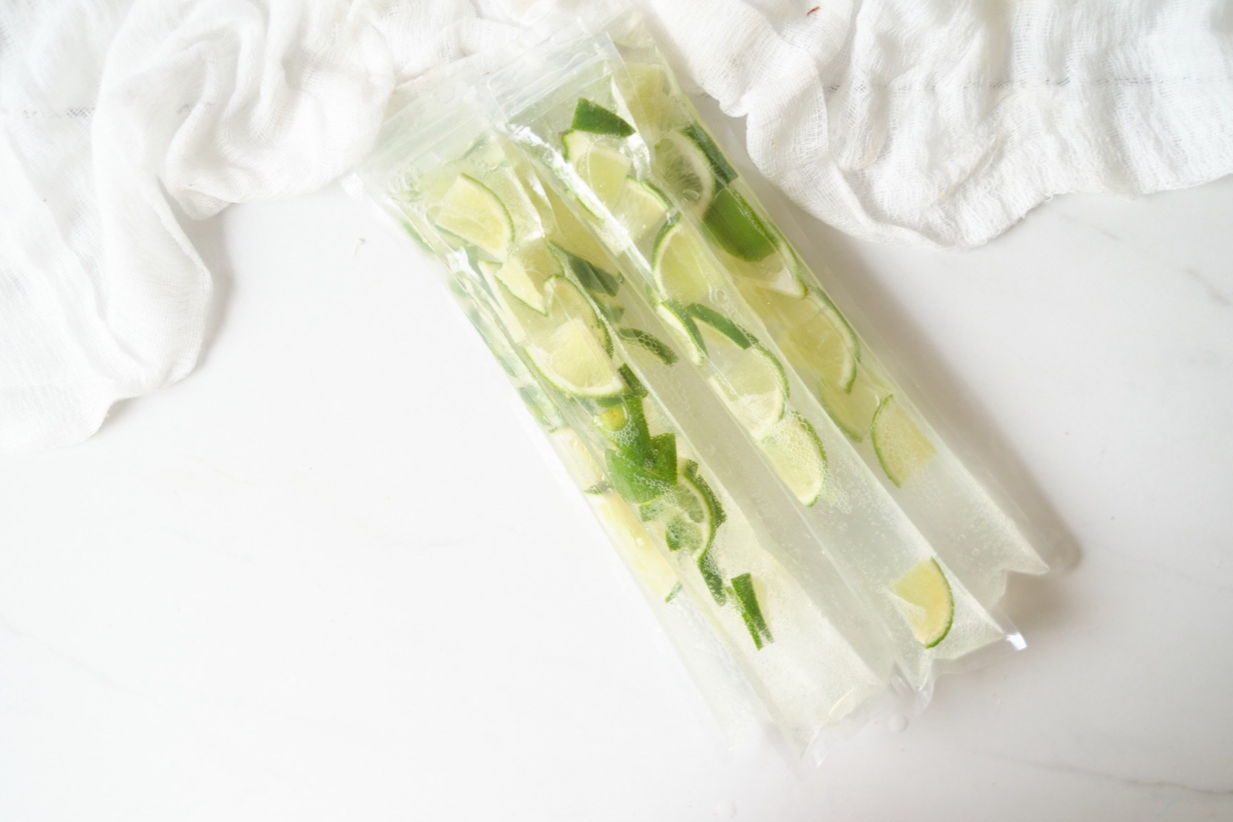 fill the freezer pop bags with gin tonic and limes