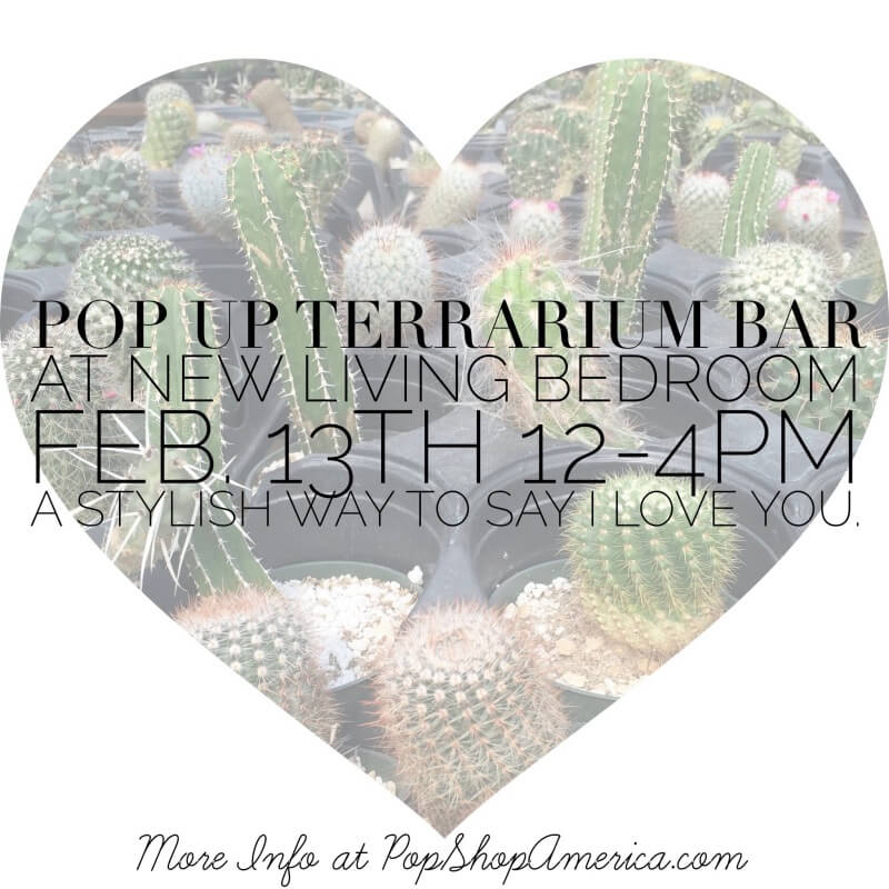 Pop Shop America