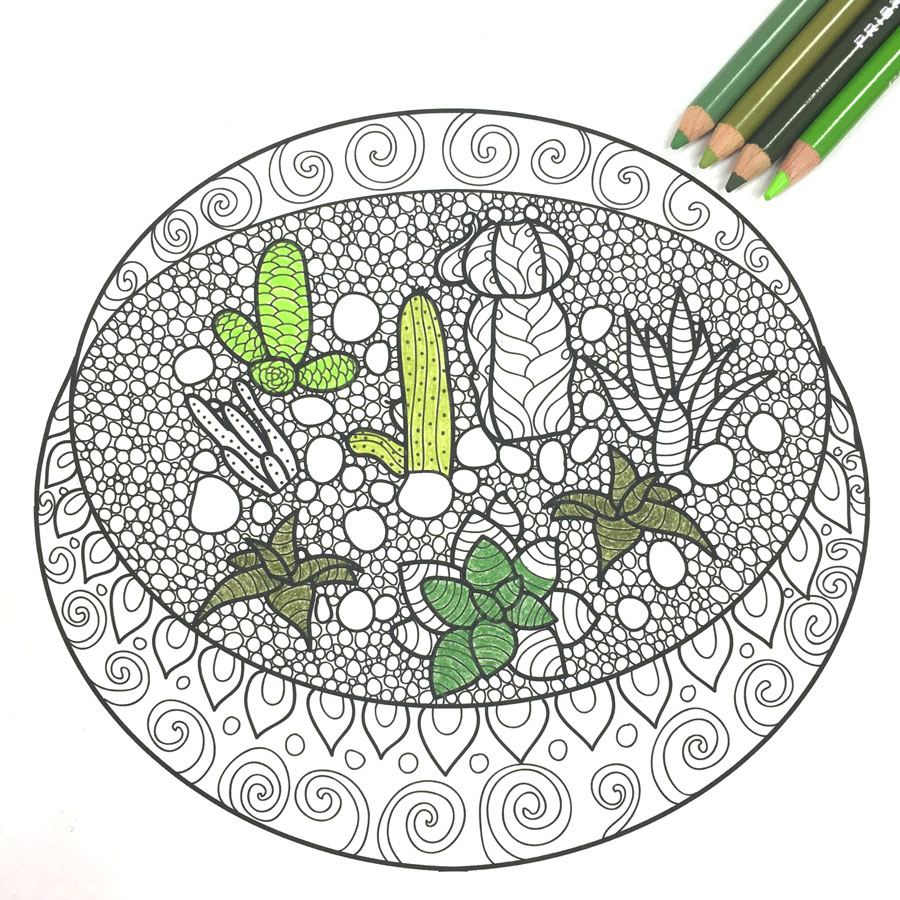 Download Free Adult Coloring Book Pages with Succulent Terrariums