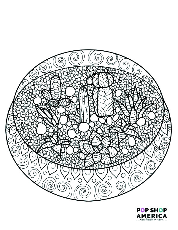 Download Free Adult Coloring Book Pages With Succulent Terrariums