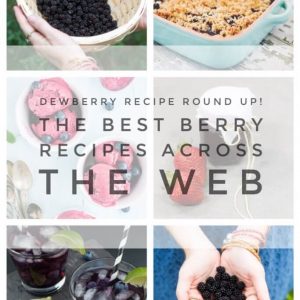 dewberry-recipe-round-up-the-best-berry-recipes-from-pop-shop-america-blog-683x1024
