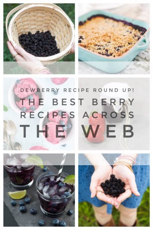 dewberry-recipe-round-up-the-best-berry-recipes-from-pop-shop-america-blog-683x1024