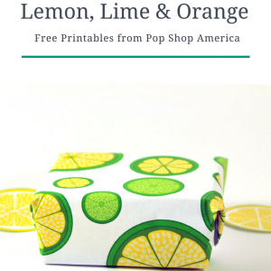 DIY lemon lime orange printables