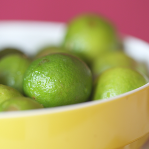 gorgeous-limes-mojito-key-lime-pie-recipe_small
