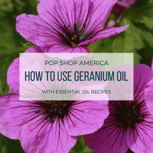 how to use geranium essential oil pop shop america