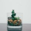 short round glass terrarium pop shop america