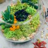 succulent terrarium from pop shop america workshop craft class houston