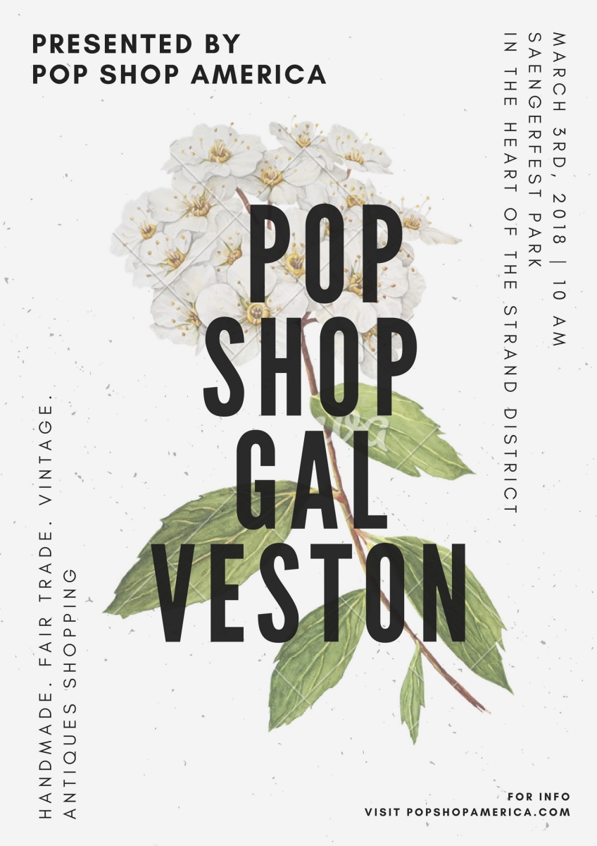 pop shop galveston art market march 2018