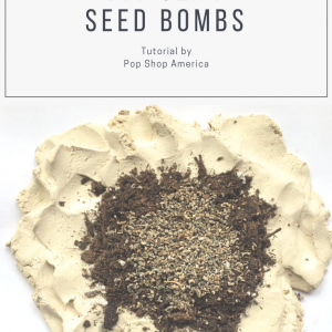 DIY Clay Seed Bombs by Pop Shop America
