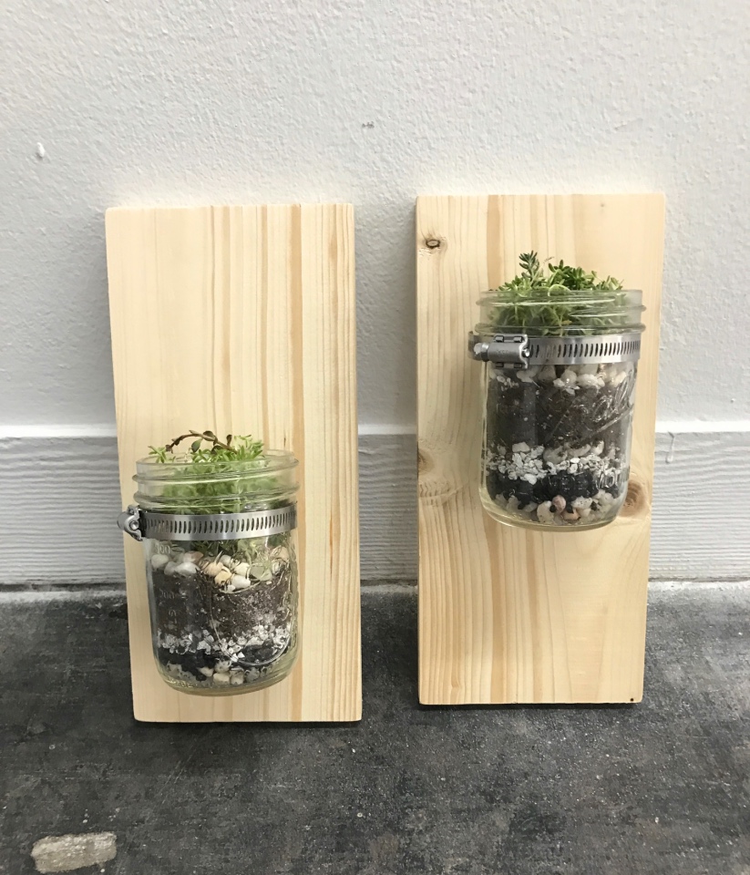 DIY Kit, Candle Making Kit with Wood Wicks & Amber Glass Jars