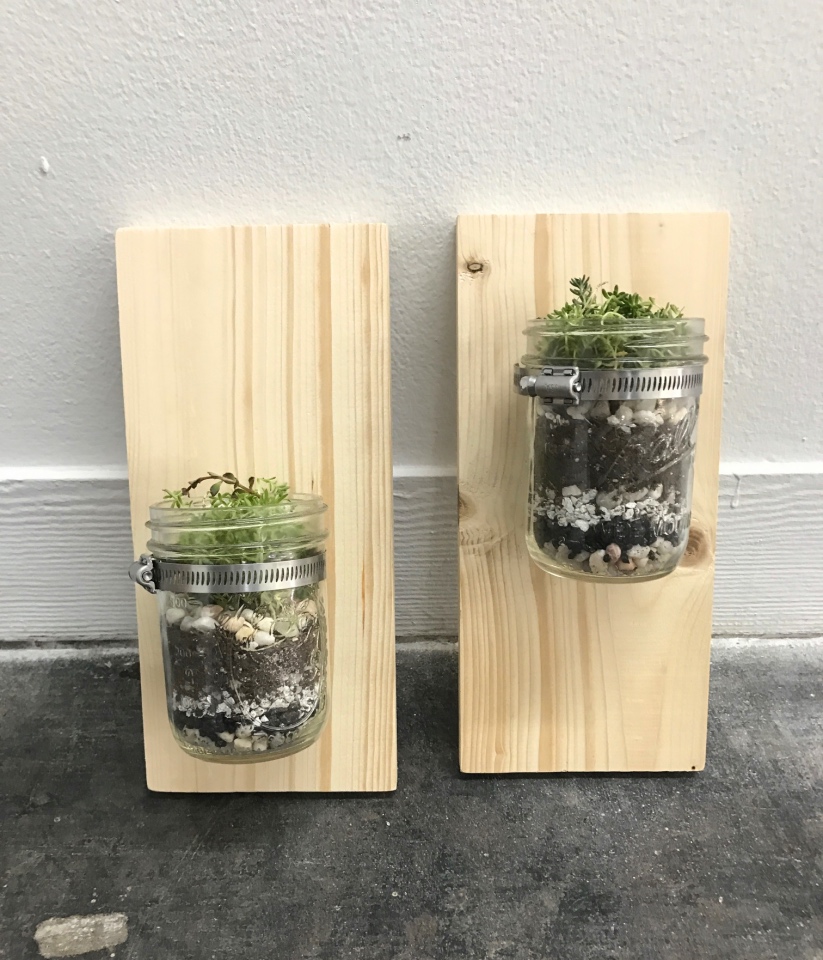 Diy Kit Mason Jar And Wood Wall Mounted Terrarium Planter