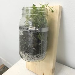 finished wood mounted mason jar terrarium planter pop shop america