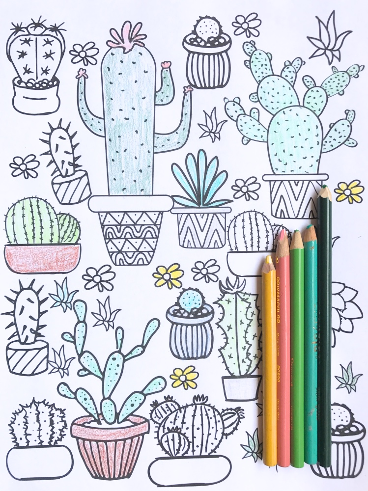 Succulents Adult Coloring Book