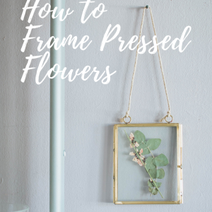 how to frame pressed flowers pop shop america