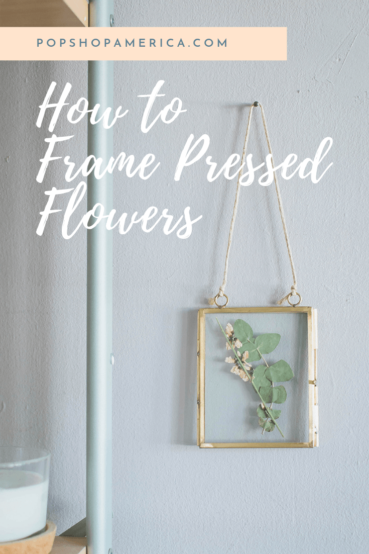How to Make Pressed Flower Frames - Good Enough And Stuff